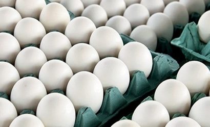 چرا قیمت تخم‌مرغ به اوج رسید؟