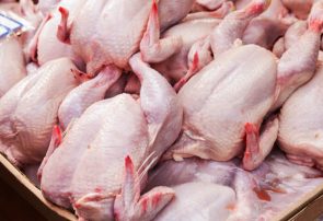 افزایش قیمت گوشت مرغ به ۳۰ هزار تومان