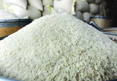 هزاران تن برنج در حال فاسد شدن