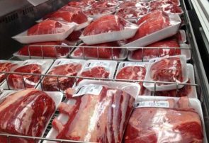 شهادت نیروهای انتظامی در مرزها برای جلوگیری از قاچاق گوشت
