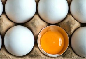کاهش ۳۰۰۰ تومانی قیمت هر شانه تخم مرغ/ فروش بالای ۳۵ هزار تومان تخلف است