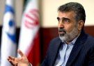 ذخایر اورانیوم ۲۰ درصدی ایران به ۵۵ کیلوگرم رسید