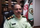 دستگیری ۲۰ دلال مرغ در تهران