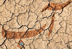بحران کم آبی دامن استان های خشک را گرفت