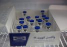 آخرین وضعیت ساخت واکسن‌های ایرانی کرونا/ «فخرا» و «کووپارس» چگونه مجوز مصرف گرفتند؟