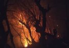 آتش سوزی در ۳ هکتار از عرصه‌های جنگلی بهشهر