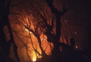 آتش سوزی در ۳ هکتار از عرصه‌های جنگلی بهشهر
