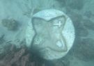 کشف شی‌ء ناشناخته در آب‌های خلیج‌فارس