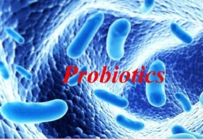 نوآوری محققان کشور برای افزایش زنده‌مانی باکتری‌های پروبیوتیک در محصولات فراسودمند