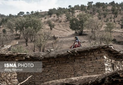 خشکسالی پی در پی عامل زوال جنگل‌های زاگرس