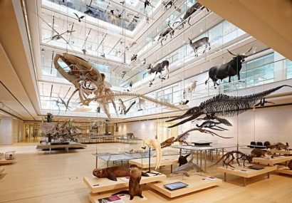از تجربه پوشیدن لباس فضایی تا قدم زدن با دایناسورها در موزه‌های علوم
