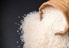 قیمت برنج در حاشیه رایزنی برای لغو ممنوعیت واردات