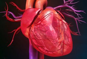 رژیمی برای پیشگیری از ابتلا به بیماری‌های قلبی عروقی