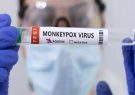 اولین مورد “آبله میمونی” در ایران و راه‌های انتقال و علائم این بیماری