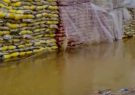 احتمال از بین رفتن ۳۰۰ تن برنج‌ باران‌زده/گمرک به وزارت صمت نامه زد