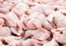 کاهش ۳۰ تا ۵۰ درصدی مصرف مرغ/ ایران هاب تامین نهاده‌های دامی‌ می‌شود