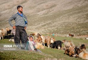 افزایش ۳۵ درصدی بودجه صندوق بیمه اجتماعی روستاییان و عشایر