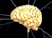 توسعه رایانه‌هایی با شباهت بیشتر به عملکرد مغز انسان توسعه رایانه‌هایی با شباهت بیشتر به عملکرد مغز انسان