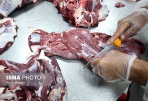 استخوان لای زخم بازار گوشت/ درمان چیست؟