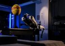 رونمایی از جدیدترین سگ رباتیک چین