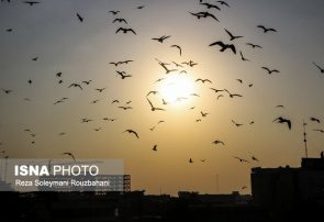 تداوم هوای گرم در تهران تا فردا/ هشدار نسبت به وزش باد خیلی شدید