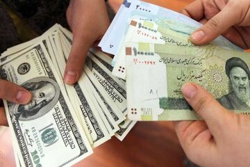 انتظارات تورمی و ناترازی‎‌های مالی، بازیگران بازار ارز