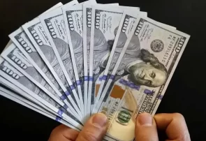 نگفتم بانک مرکزی گفت ارز را گرانتر بفروشید/ ارز توافقی مبنای مشورت بود