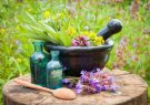 رفع مشکلات برخی مراکز در اجرای طرح بیمه خدمات طب ایرانی