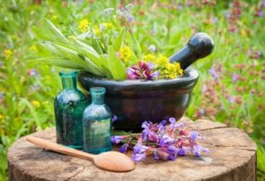 رفع مشکلات برخی مراکز در اجرای طرح بیمه خدمات طب ایرانی