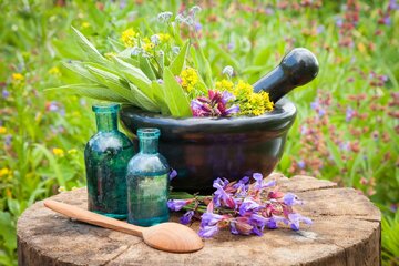 رفع مشکلات برخی مراکز در اجرای طرح بیمه خدمات طب ایرانی
