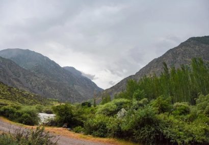۹٢ درصد اکوسیستم کشور ارزشگذاری شده‌ است