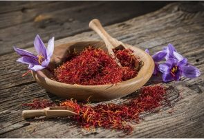 سهم اسپانیا در تجارت با ایران بیشتر شد