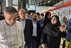 بازدید سخنگوی دولت از ۲ مجتمع تولیدی در بندرانزلی