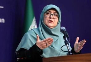 مهاجرانی: مشکل کامیون داران در هیأت دولت مطرح شد