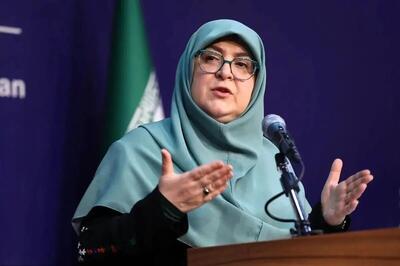 مهاجرانی: مشکل کامیون داران در هیأت دولت مطرح شد