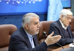 صالحی امیری: ایران‌هراسی باید با دیپلماسی فرهنگی خنثی شود