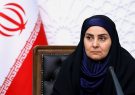 تاکید وزیر راه و شهرسازی بر نظارت بر نرخ بلیت هواپیما در ایام اربعین