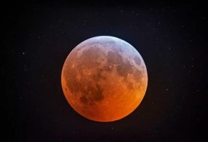 ماه توت‌فرنگی؛ آخرین ماه کامل بهار