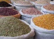 توزیع ١٠ هزار تن حبوبات تنظیم بازاری طی هفته آینده