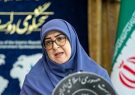 مهاجرانی: دستاورد دولت درحوزه انسجام اجتماعی ملموس بود/ ضرورت فعالیت بیشتر در اقتصاد