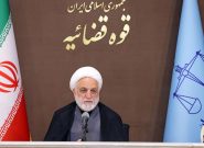 محسنی اژه‌ای: جرم «همکاری با دشمن» با «جاسوسی» متفاوت است