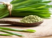اثبات خواص افزایش طول عمر و ضد پیری جوانه گندم