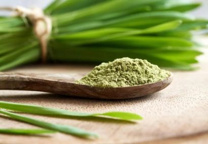اثبات خواص افزایش طول عمر و ضد پیری جوانه گندم