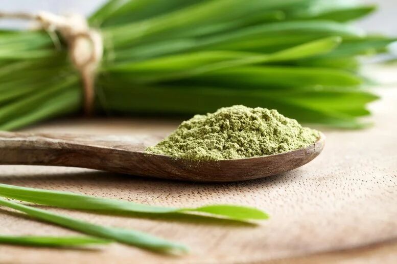 اثبات خواص افزایش طول عمر و ضد پیری جوانه گندم