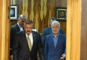 وزیر کشور عراق وارد تهران شد