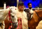 آغاز مسابقه تلویزیونی «شادآباد» با اجرای میرطاهر مظلومی