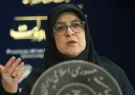 سخنگوی دولت: در جنگ اخیر ۱۰۶۲ شهید تقدیم کردیم