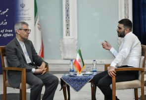 بقائی: کشورهای همسایه ایران مانع از سوءاستفاده رژیم صهیونیستی از قلمروشان شوند