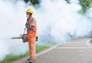 چین از ۷ هزار مورد ابتلا به ویروس «چیکونگونیا» خبر داد
