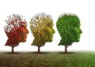 معکوس‌کردن روند پیری مغز با کاهش یک پروتئین